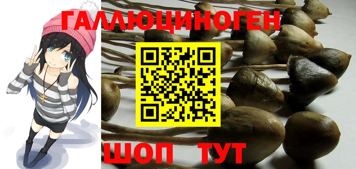 Галлюциногенные грибы мухоморы  Псилоцибиновые грибы ЛСД  Заволжье  Вход с VPN 