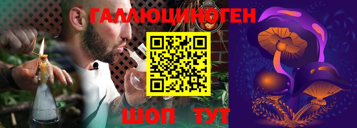 Галлюциногенные грибы Magic Shrooms Заволжье